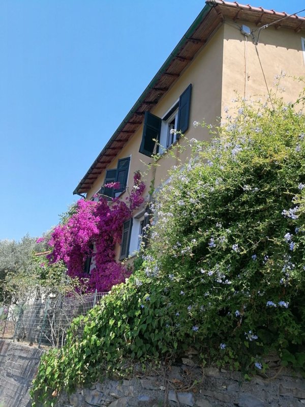 casa indipendente in vendita ad Avegno