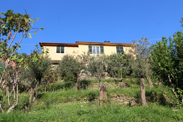casa indipendente in vendita ad Avegno in zona Testana