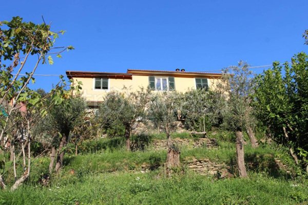 casa indipendente in vendita ad Avegno in zona Testana