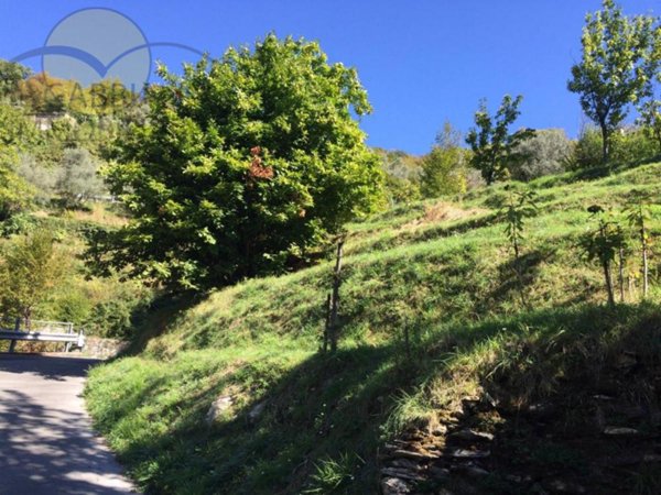 terreno edificabile in vendita ad Avegno in zona Testana