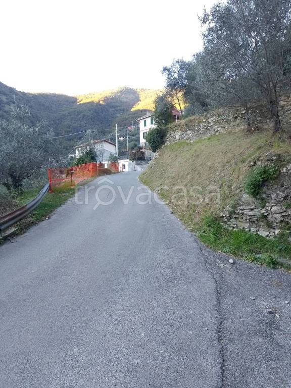 casa indipendente in vendita ad Avegno in zona Testana