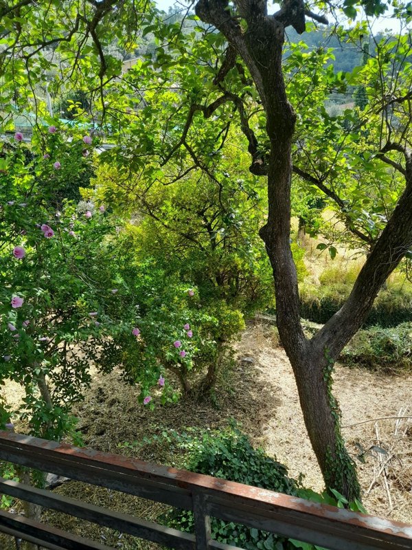 casa indipendente in vendita ad Avegno in zona Testana