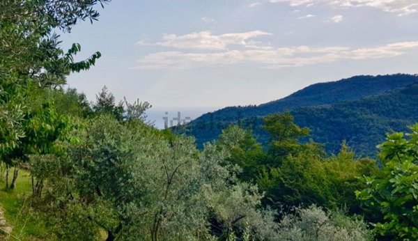 terreno edificabile in vendita ad Avegno in zona Testana