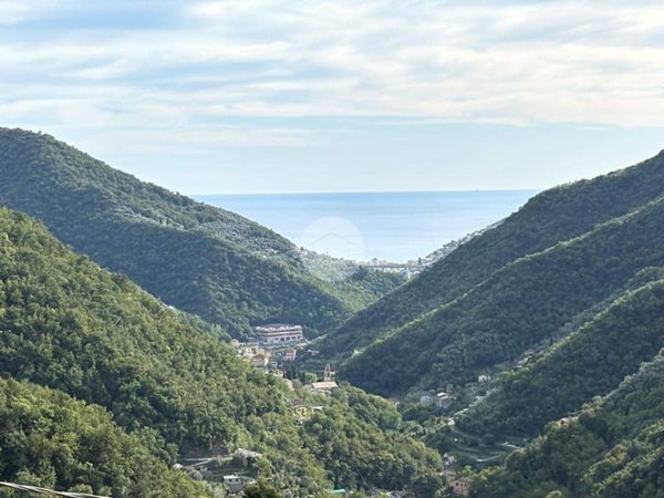 casa indipendente in vendita ad Avegno in zona Salto