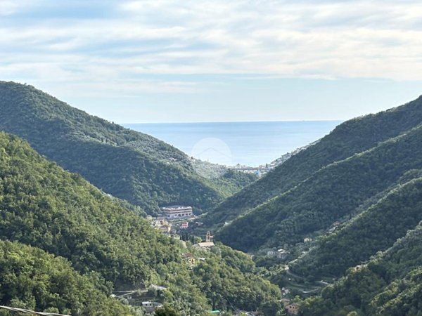 casa semindipendente in vendita ad Avegno in zona Salto