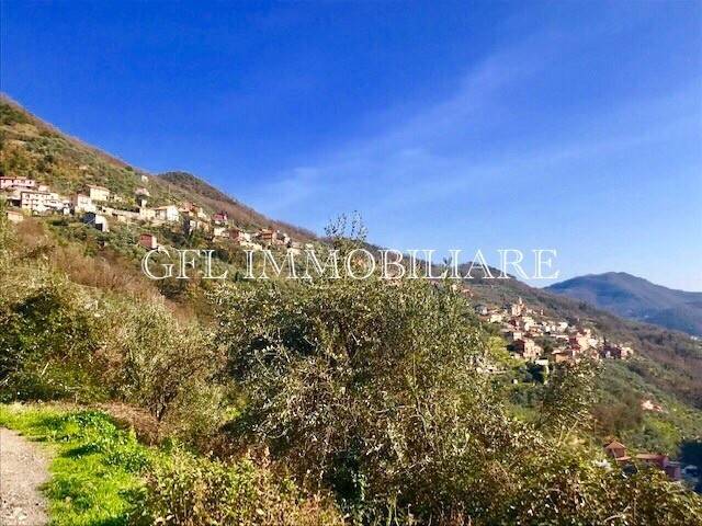 casa indipendente in vendita ad Avegno in zona Testana