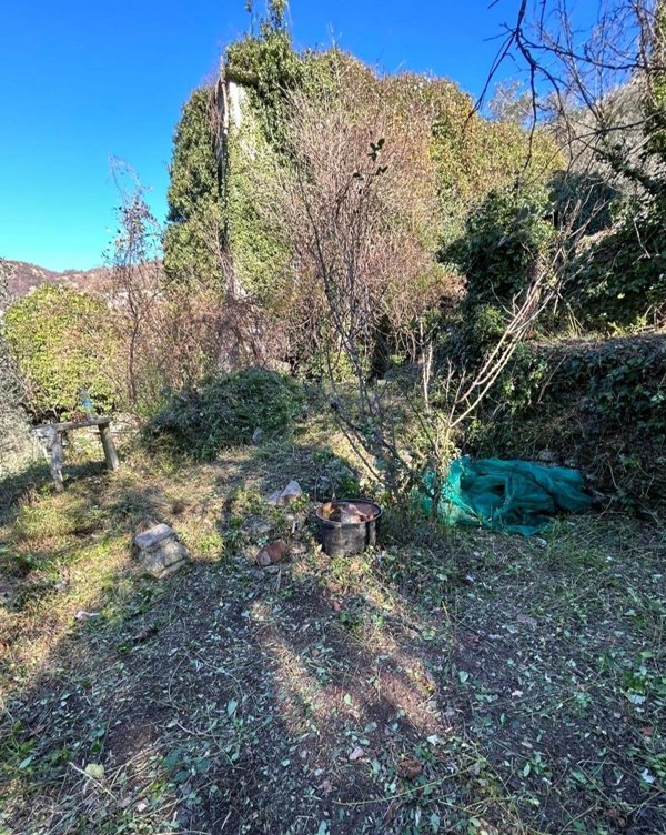 esavano in vendita ad Avegno in zona Testana