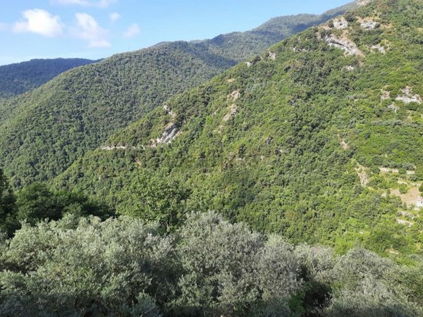 appartamento in vendita ad Avegno in zona Testana