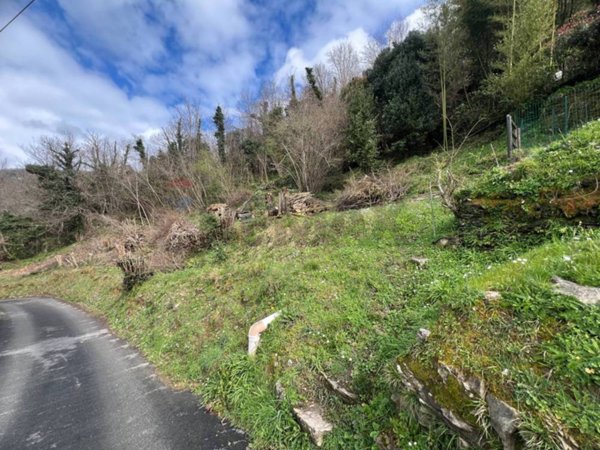 terreno edificabile in vendita ad Avegno