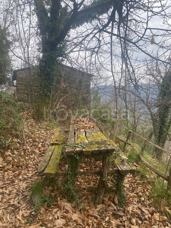 appartamento in vendita ad Avegno in zona Vescina