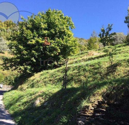 casa indipendente in vendita ad Avegno in zona Testana