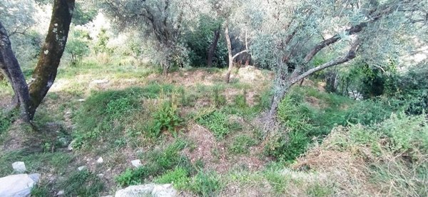 casa indipendente in vendita ad Avegno