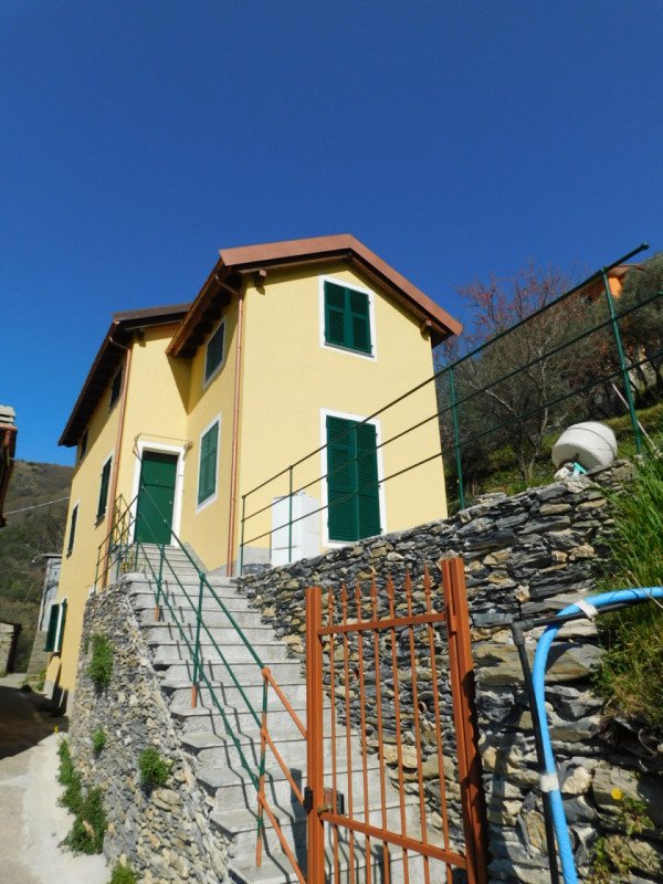casa indipendente in vendita ad Avegno in zona Testana