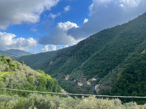 appartamento in vendita ad Avegno in zona Testana