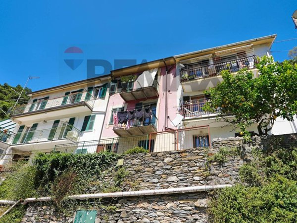 casa semindipendente in vendita ad Avegno in zona Salto