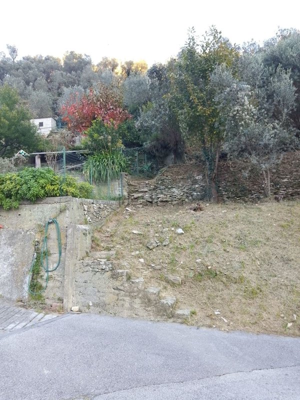 terreno edificabile in vendita ad Avegno in zona Testana