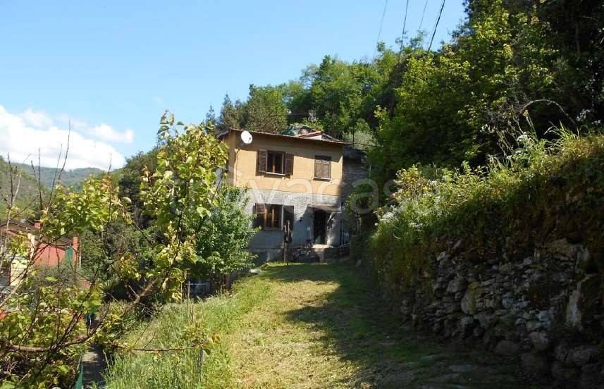 appartamento in vendita ad Avegno