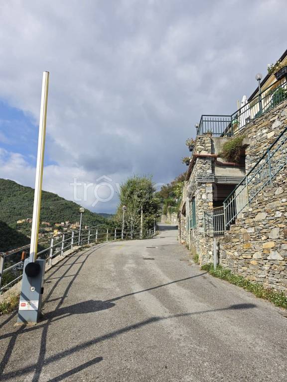 casa indipendente in vendita ad Avegno in zona Vescina