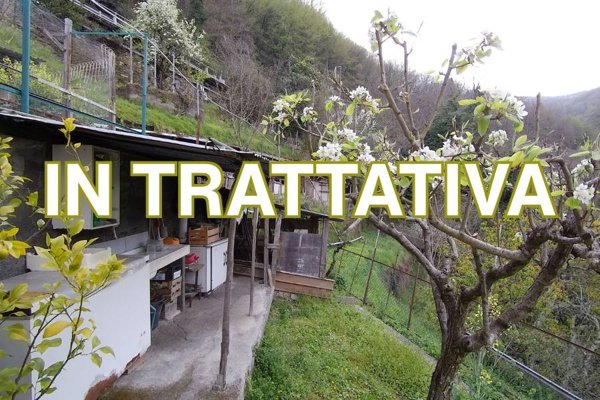 casa indipendente in vendita a Bargagli in zona Traso