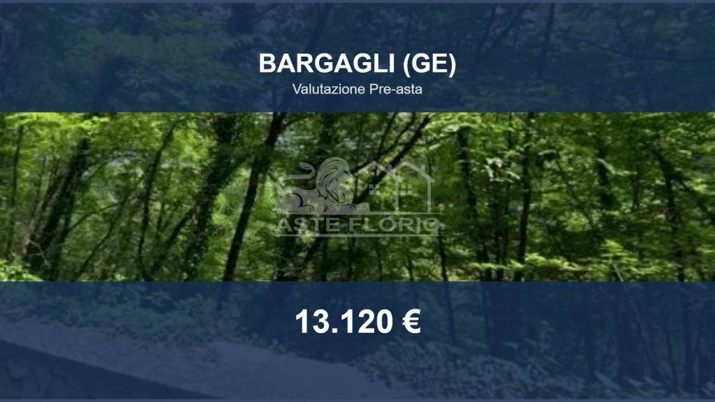 terreno agricolo in vendita a Bargagli in zona Traso