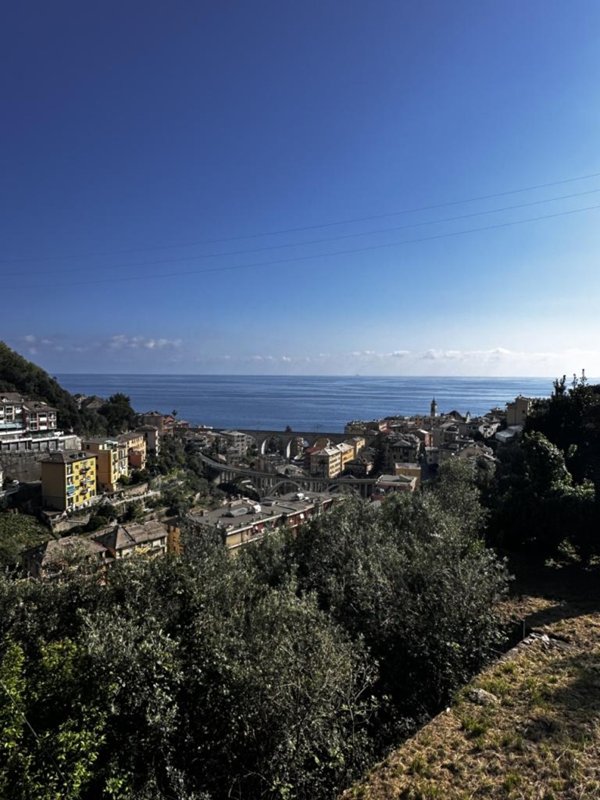 esavano in vendita a Bogliasco