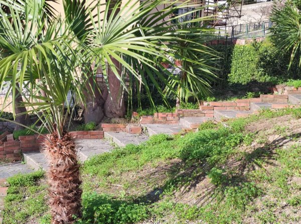 casa indipendente in vendita a Bogliasco