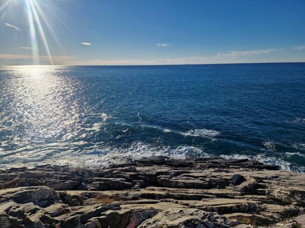 appartamento in vendita a Bogliasco