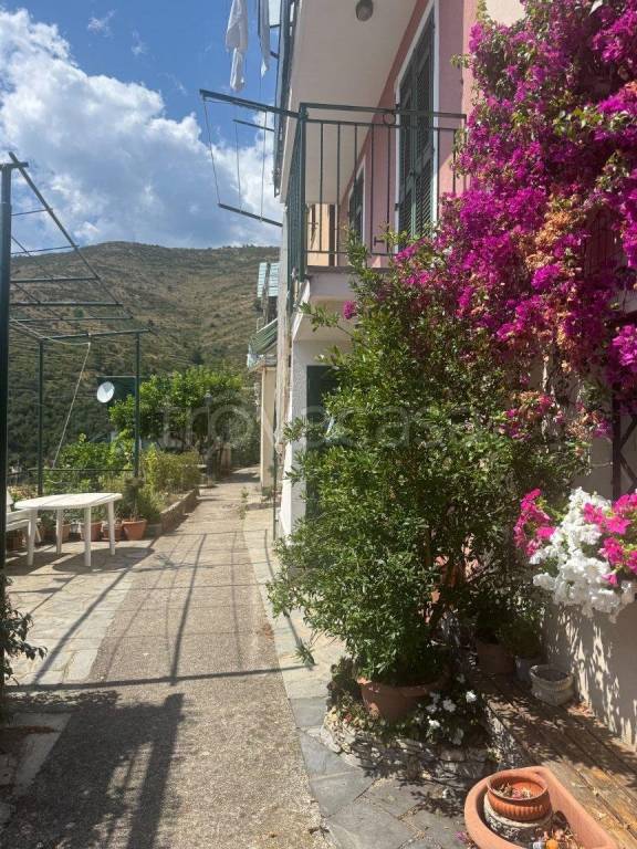 casa indipendente in vendita a Bogliasco in zona Sessarego