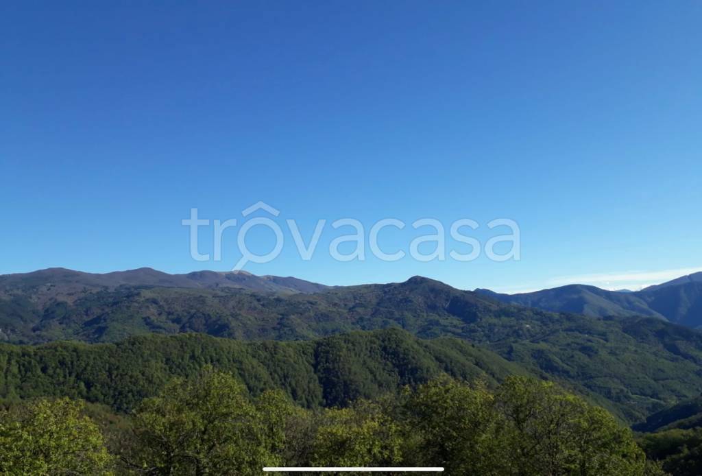 terreno agricolo in vendita a Borzonasca