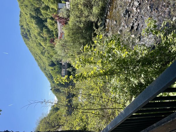 appartamento in vendita a Borzonasca