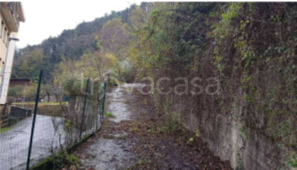 appartamento in vendita a Borzonasca
