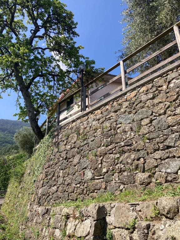 casa indipendente in vendita a Borzonasca