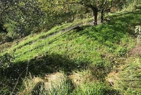appartamento in vendita a Borzonasca