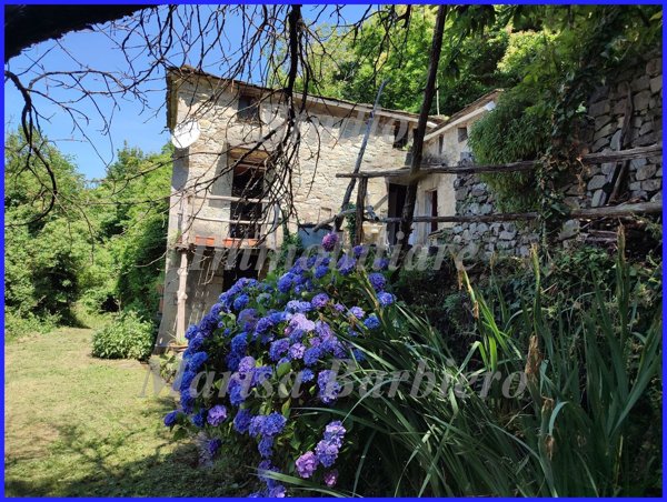 pentavano in vendita a Borzonasca in zona Borzone