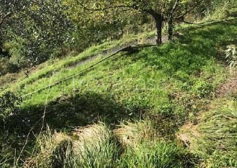 appartamento in vendita a Borzonasca