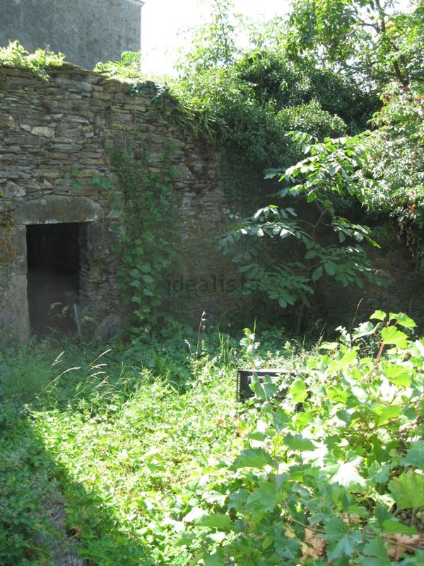 esavano in vendita a Borzonasca