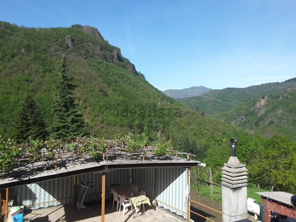 esavano in vendita a Borzonasca in zona Zolezzi