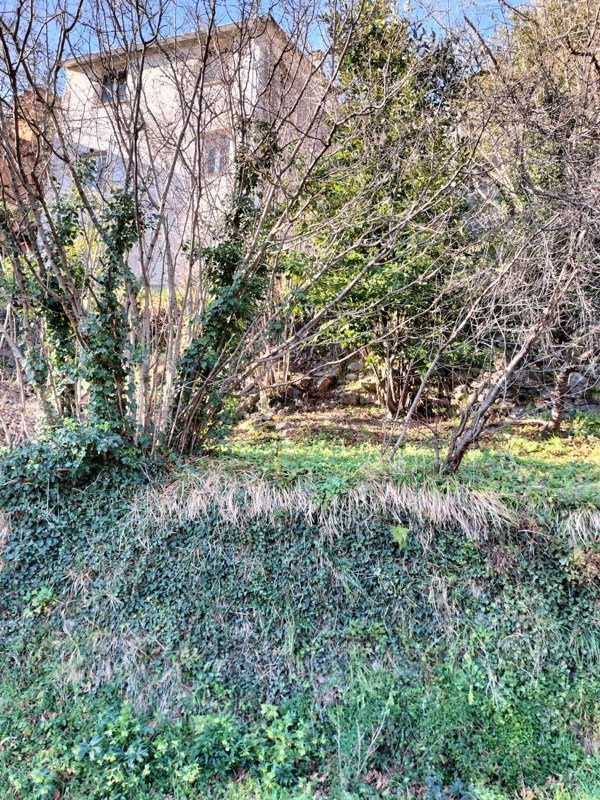 quadrivano in vendita a Borzonasca