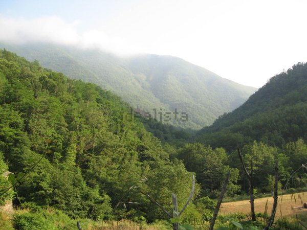 appartamento in vendita a Borzonasca
