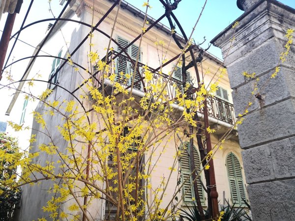 casa indipendente in vendita a Borzonasca