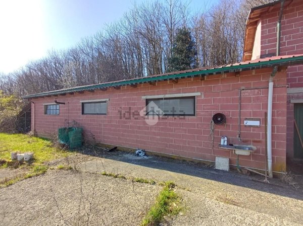 esavano in vendita a Busalla