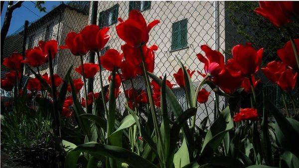 appartamento in vendita a Busalla