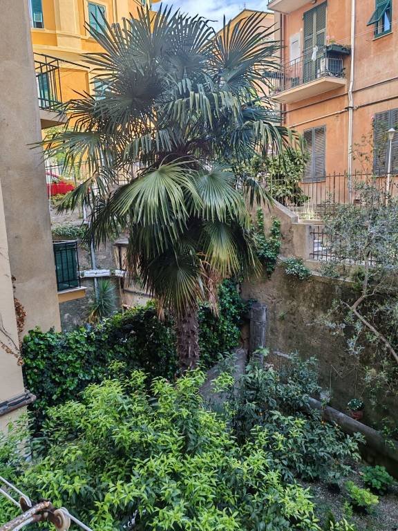 appartamento in vendita a Camogli in zona San Fruttuoso