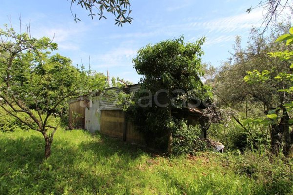 terreno agricolo in vendita a Camogli in zona San Rocco
