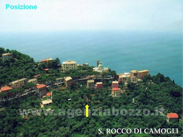 terreno edificabile in vendita a Camogli in zona San Rocco