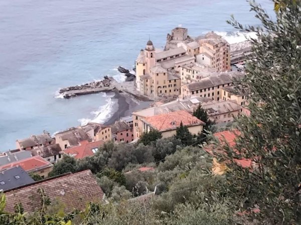 negozio in vendita a Camogli