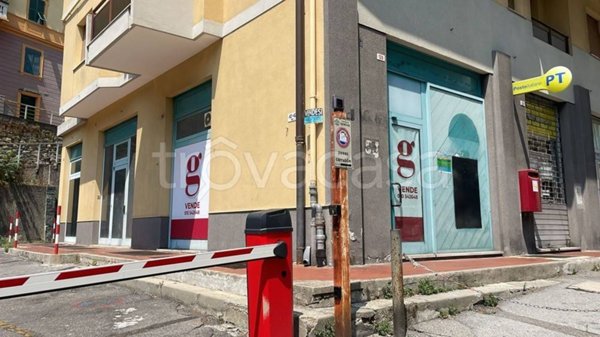 negozio in vendita a Camogli in zona San Fruttuoso