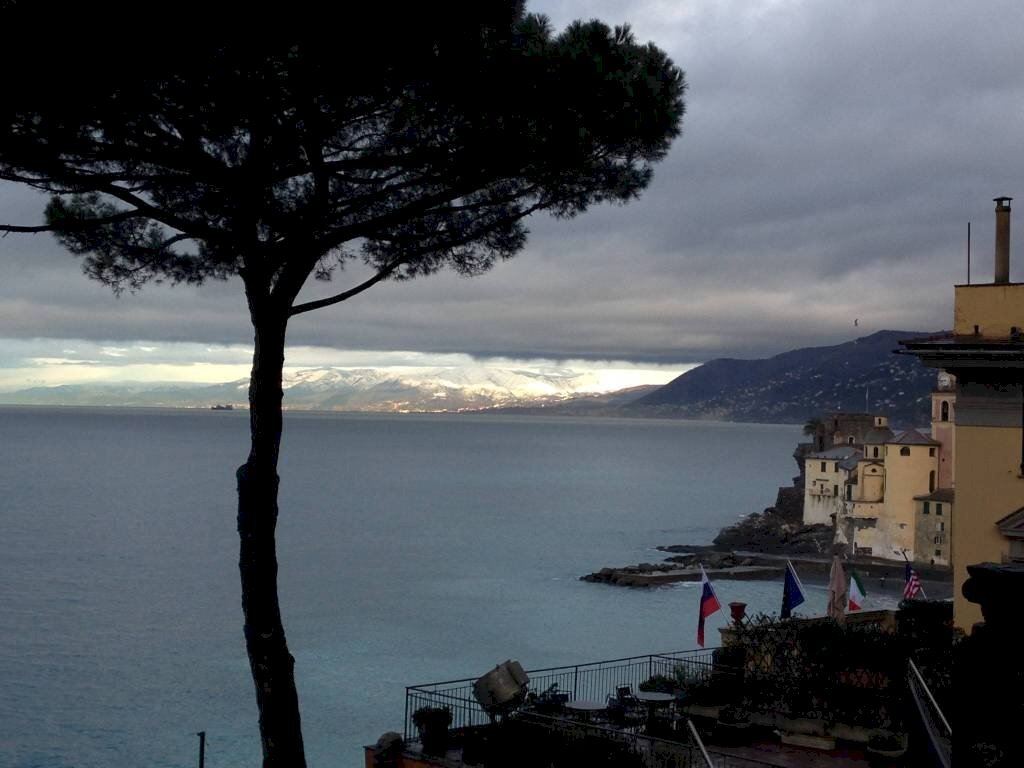 appartamento in vendita a Camogli