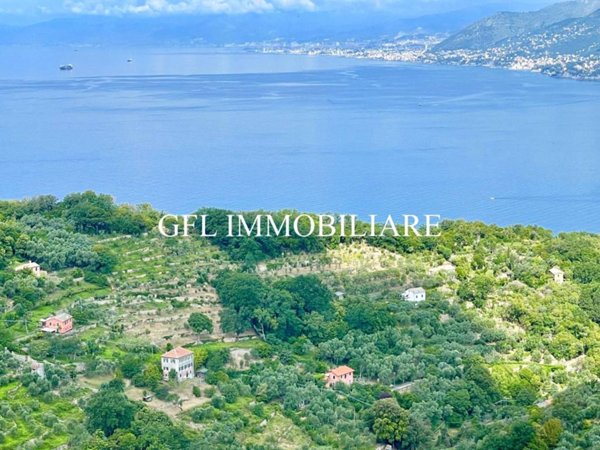 casa indipendente in vendita a Camogli in zona San Rocco