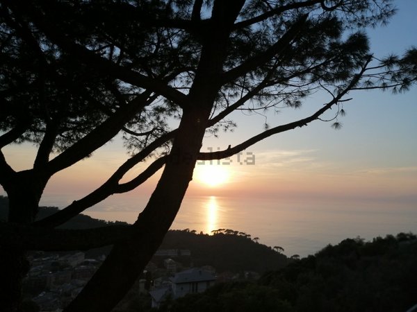 appartamento in vendita a Camogli